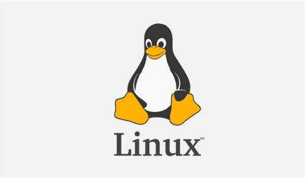 linux用户、组操作